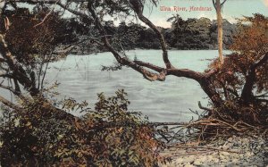 Honduras Ulna River Scenic View Vintage Postcard AA61301