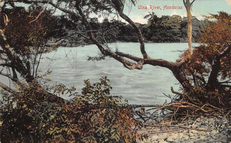 Honduras Ulna River Scenic View Vintage Postcard AA61301