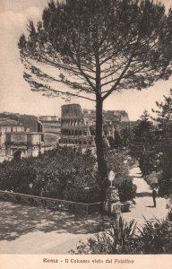 Vintage Postcard Roma Il Colosseo Visto Dal Palatino Garden Rome Italy