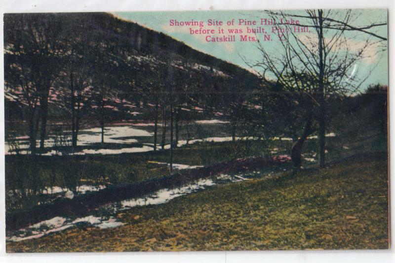 Site of Pine Hill Lake before it was Built, Catskill Mts