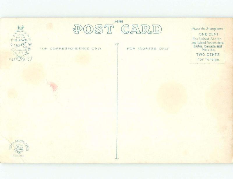 Divided-Back BEACH SCENE Daytona Beach Florida FL d8369