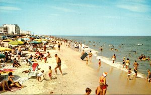 Delaware Rehoboth Beach Looking North