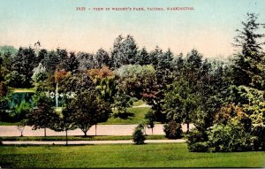 Washington Tacoma View In Wright's Park