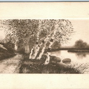c1910 Beautiful Artistic Deboss Collotype Photo Postcard River Shore Border A36