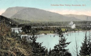 Revelstoke, BC Canada  COLUMBIA RIVER VALLEY Bird's Eye View  ca1910's Postcard