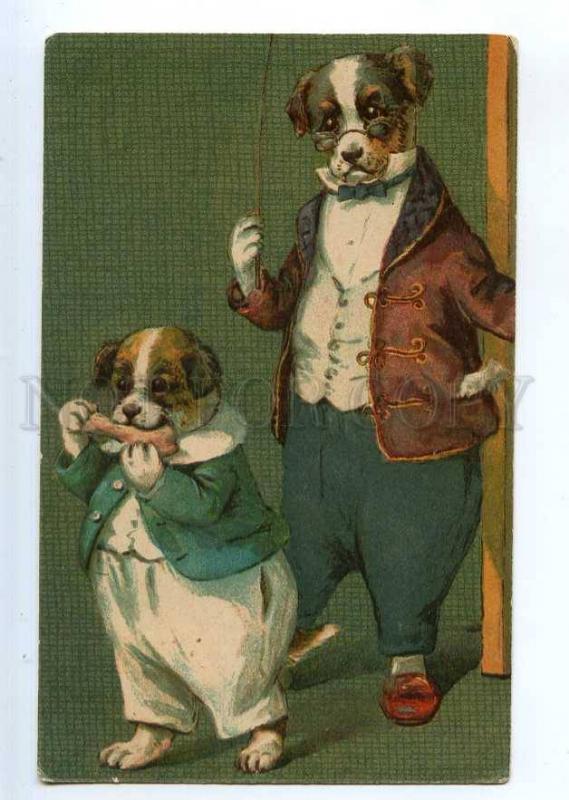 234762 Dressed DOG Terrier by THOMPSON Vintage TSN #319-7 PC