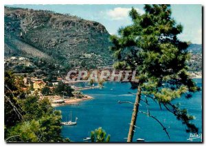 Old Postcard The Road to Golden Theoule sur Mer Corniche M Panoramic views of...