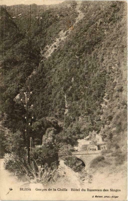 CPA AK Geiser 45 BLIDA Gorges Chiffa Hotel Ruisseau Singes ALGERIA (764216)