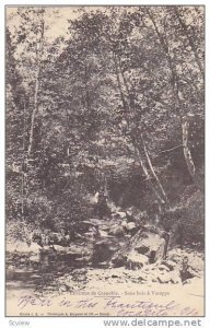 Sous Bois A Voreppe, Environs De Grenoble (Isere), France, PU-1901