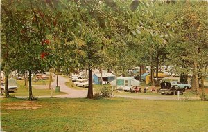 Bowling Green Kentucky Postcard Shady Campgrounds Beech Bend Park 24-7376