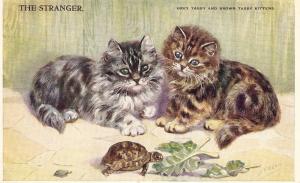 \The Stranger, Gray and Brown Tabby Kittens\ Lovely Postcard