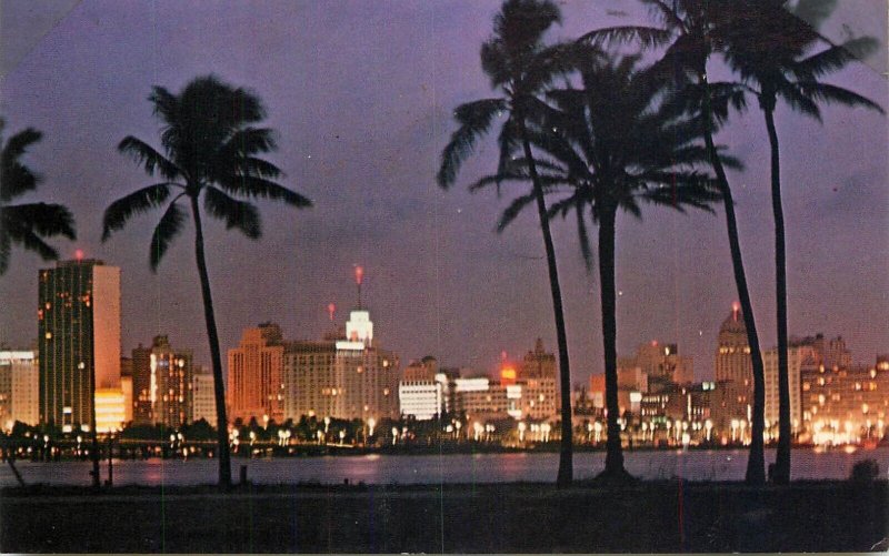 United States Miami Florida palm tree city lights 1975