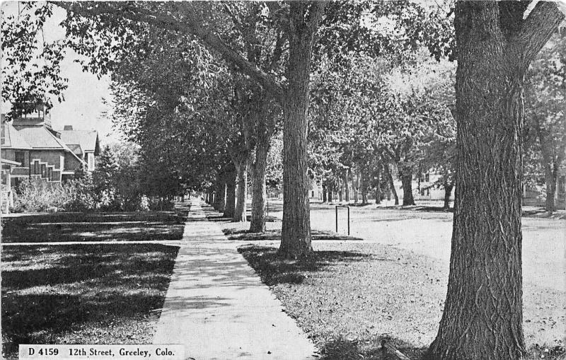 F28/ Greeley Colorado Postcard c1910 12th Street Homes