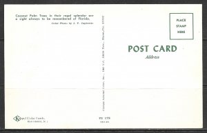 Florida - Coconut Palm Trees - [FL-251]