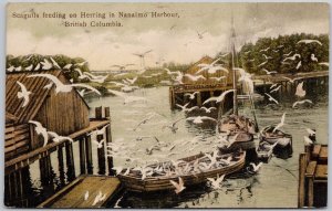 Nanaimo Harbour BC Vancouver Island Seagulls Boats Hibben Postcard H62