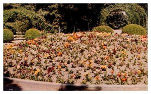 Postcard GARDEN SCENE Tacoma Washington WA AS0959