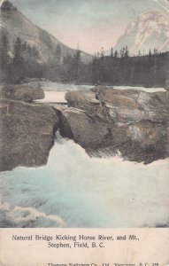 FIELD BC CA~NATURAL BRIDGE-KICKING HORSE RIVER-MT STEPHEN-TINT PHOTO POSTCARD