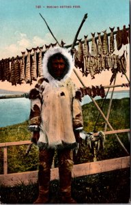 Postcard Eskimo Man Drying Fish