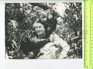 438557 Photo wildlife zoologist documentary filmmaker Heinz Sielmann chimpanzee