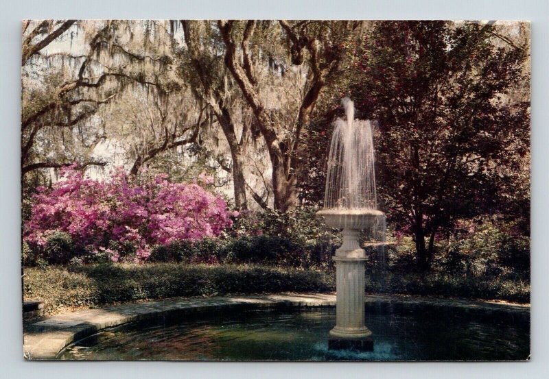 Gardens Rosedown Plantation St Francisville Louisiana LA Postcard UNP VTG 