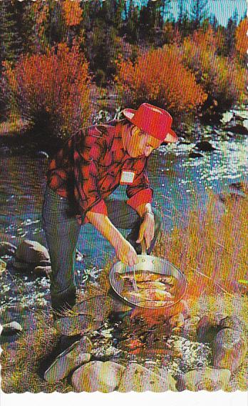 Canada Fishing In Amqui Enjoying A Day's Catch