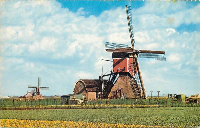 Netherland Dutch Windmill