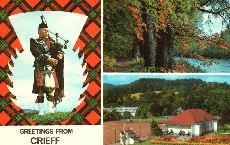 Vintage Postcard Greetings From Crieff Scotland Lady Mary's Walk Macrosty Park