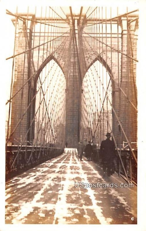 Spider Web on Brooklyn Bridge - New York City, NY