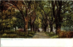 Tuck 2126 The Hermitage, Savannah GA Undivided Back Vintage Postcard N67