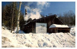 Postcard SKIING SCENE Burlington Vermont VT AT6215