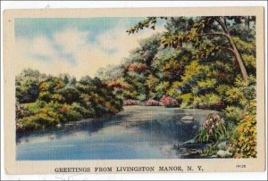 Greetings from Livingston Manor NY