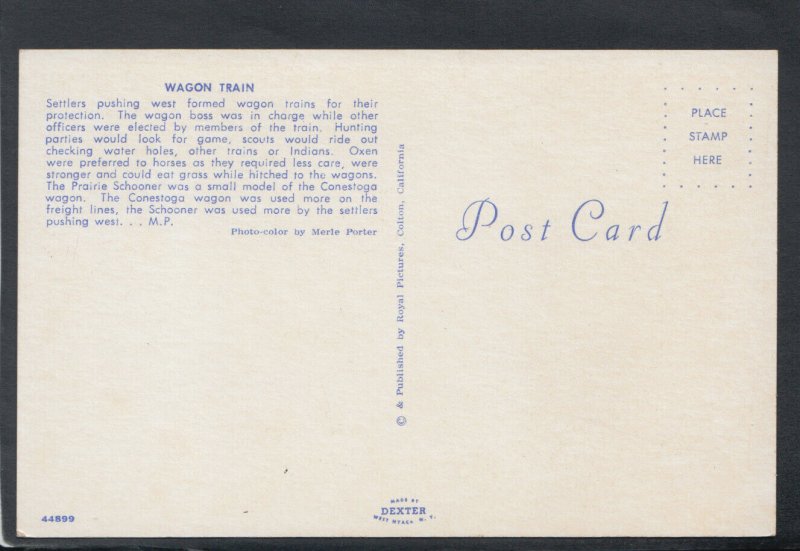 America Postcard - Wagon Train - Settlers Pushing Forward West   T7649 