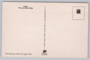 State View~Texas Shape Lights At Night From Lone Star State~Vintage Postcard