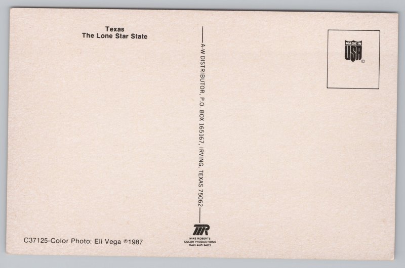State View~Texas Shape Lights At Night From Lone Star State~Vintage Postcard