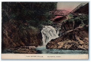 c1920 Tum Water Falls Bridge Cliff Olympia Washington Vintage Antique Postcard