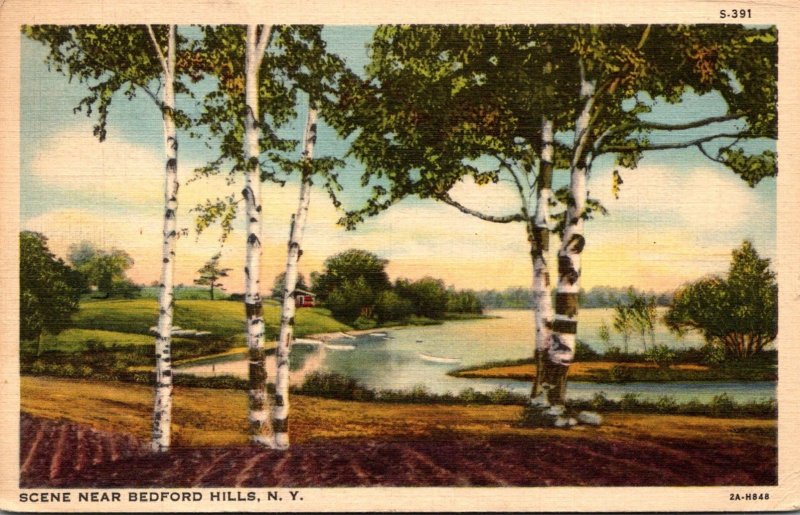 New York River Scene Near Bedford Hills 1937 Curteich