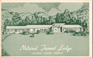 Natural Tunnel Lodge in Natural Tunnel, Virginia Vintage Postcard JD5