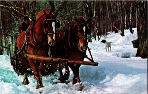 Maple Sugar Time in Vermont Chrome Postcard Y15