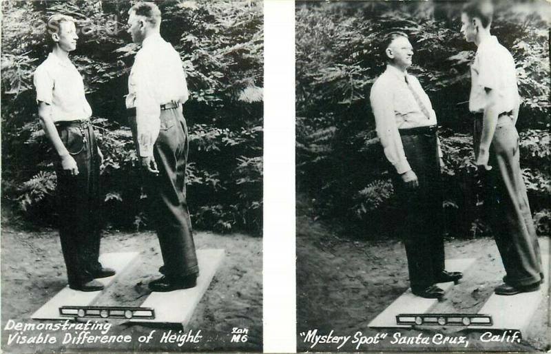 CA, Santa Cruz, California, Mystery Spot, Visible Difference in Height, RPPC
