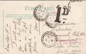 Hobart Australia Fern Tree Bower Huon Road c1908 1D Postal Mark Postcard H47