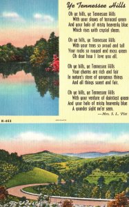 Vintage Postcard 1930's The Tennessee Hills Slopes And Terrace Green Tall Trees