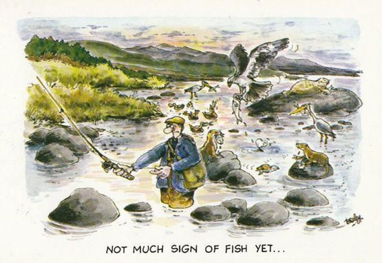 Disaster Holiday incl Cycling Fishing 4x Comic Humour Postcard s