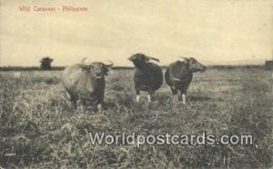 Wild Carabaos Philippines Unused 