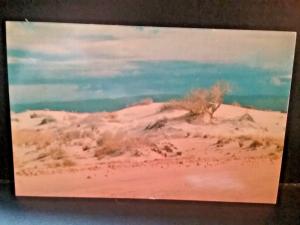 Postcard The White Sands of Alamogordo, NV    Z5