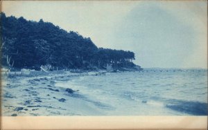 Cape Cod? Unidentified Cyanotype c1910 Real Photo Postcard #1