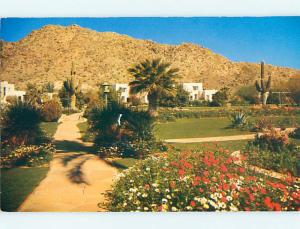 Unused 1950's CAMELBACK INN MOTEL Phoenix Arizona AZ s2320