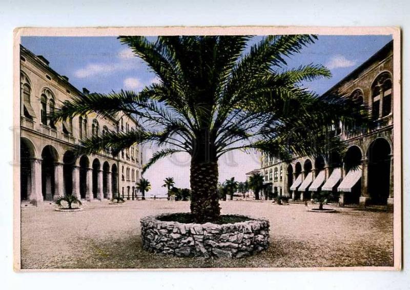 192058 Croatia SPLIT Vintage postcard