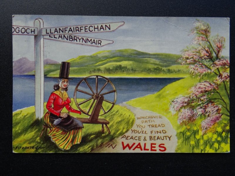 Wales Cymru LLANFAIRFECHAN Whichever Path You Tread c1960s Postcard by Bamforth