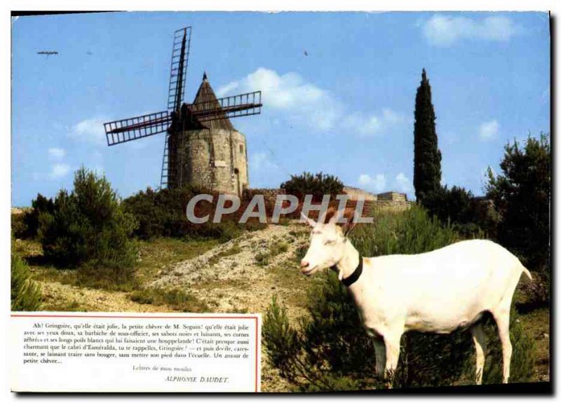 Postcard Modern Fontvieille Moulin de Daudet Chevre