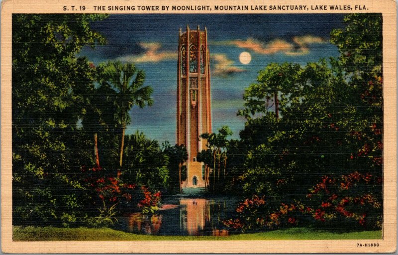 Vtg Singing Tower by Moonlight Mountain Lake Sanctuary Lake Wales FL Postcard